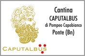 Cantina Caputalbus di Pompeo Capobianco PONTE Bn